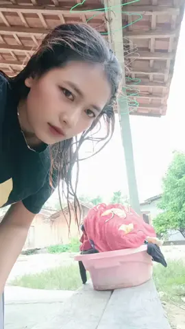seneng nyuci tapi gk seneng melipat baju itu adalah q wkwkwk