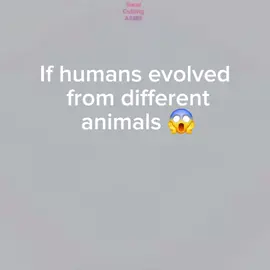 how humans would've evolved from different animals #animals #funny 