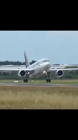 Airbus A310 Crashes ✈️❌ #aviation #fyp #foryou #viral #rip 