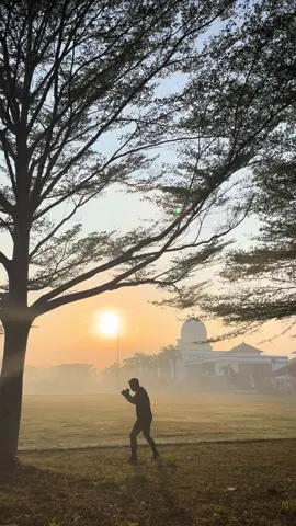 Shadow with sun  #bayoxz #danceboxing #boxing🥊 #boxing 