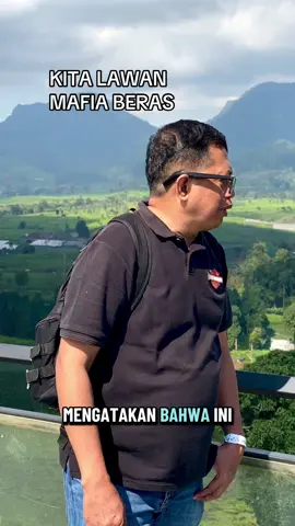 Mafia itu adalah sistem. Di dalam sistem itu, ada aparat pemerintah, penjahat, aparat hukum yang berperan sebagai aktor. Suprastruktur mafia itu adalah undang-undang, peraturan. Infrastruktur mafia itu adalah struktur pemerintahan, pusat dan daerah. Program mafia itu adalah tiada lain program pemerintah juga. Misi mafia itu menjadikan program pemerintah sebagai program mafia. Dengan demikian, melawan mafia itu adalah 3/4 dari tindakan makar. Kalau pemerintah melawan mafia, itu juga bisa berarti melawan bayangannya sendiri. Mafia itu adalah sistem, bukan tentang sosok orang kuat. 