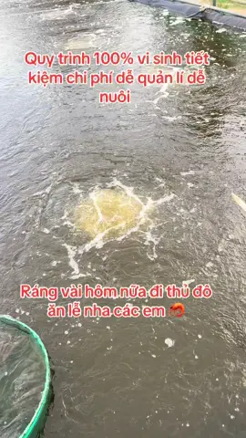 Thành quả của sự đam mê #mê tôm🦐