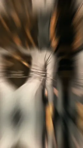 ARINOLA ❤️‍🔥 