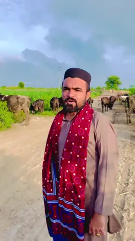 @fasil kamboh232 @payal ji @Arif wattoo #for #you 