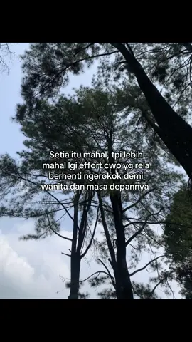#fyppppppppppppppppppppppp #setiaitumahal #langgeng #effort #tulus 