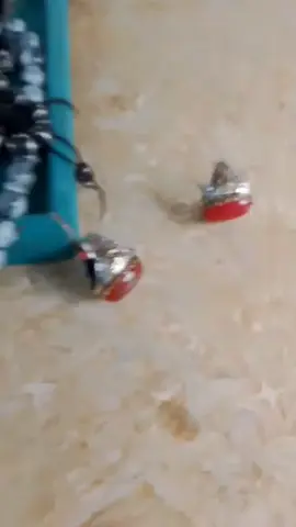 #فرنسا🇨🇵_بلجيكا🇧🇪_المانيا🇩🇪_اسبانيا🇪🇸 #جلب_الحبيب #حضرموت #CapCut 