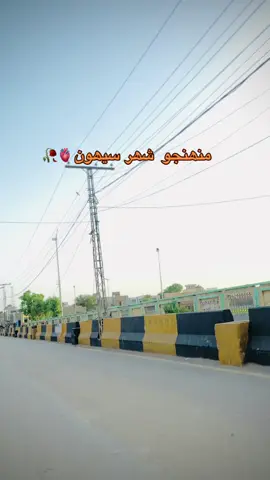 Sehwan shariff 🫀@Sharjeel ali shaikh ❤️ #5kfollowers #viralvideo #growmyaccount #foryouu 
