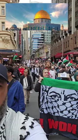 #australia #nsw #palestine #gaza 