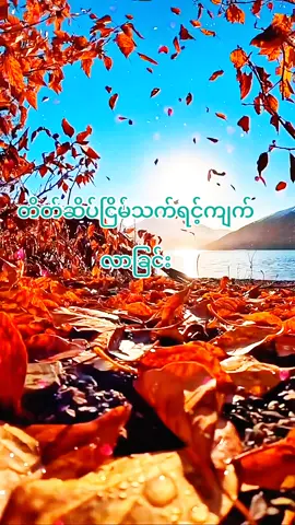 #fypシ゚ #အတွေးအခေါ်စာစုများ #မူရင်းရေးသားသူအားလေးစားစွာ credit ပေးပါတယ် #naing oo#fypシ゚viral🖤tiktok 