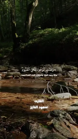 ‏تلاوة جميلة بصوت سعود الفايز  #وعنت_الوجوه_للحيّ_القيوم  #قران  #سورة_طه  #سعود_الفايز  #fypシ゚viral  