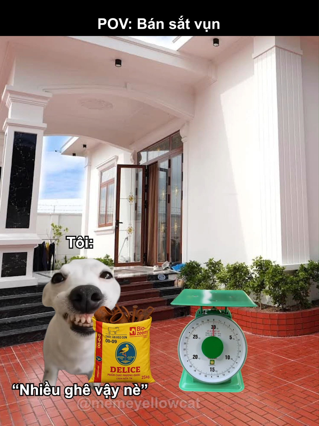 không biết ai đúng đây ? #meme #memeyellowcat #hoathinh #doremon