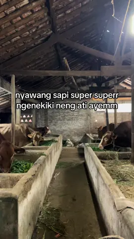 #promomakangajian #promoseruweekend #promomakanmerdeka #fyppppppppppppppppppppppp #spg #promoseruweekend #promomakanmerdeka #fyppppppppppppppppppppppp #sapingamuk #viralvideo 