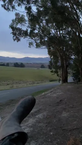 Ah shit @Walter @Connor_Smith13 #aigenerated #donebyprofessional #crf250r #waltercantwheelie #loopout 