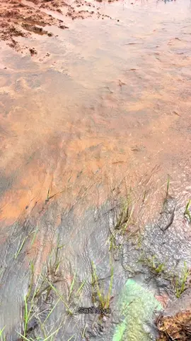 #ទឹកហូរកាត់ផ្លូវរដូវភ្ជុំបិណ😊 #tpyシforyou 