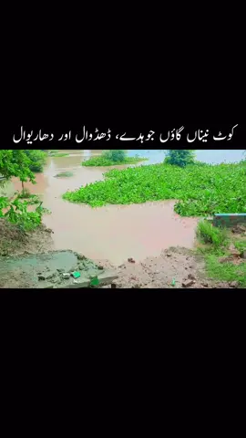 کوٹ نیناں گاؤں جوہدے، ڈھڈوال اور دھاریوال 