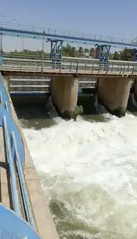 #ابو #زينب #الصياد #الحمدالله_علی_کل_حال❤ #العراق_السعوديه_الاردن_الخليج 