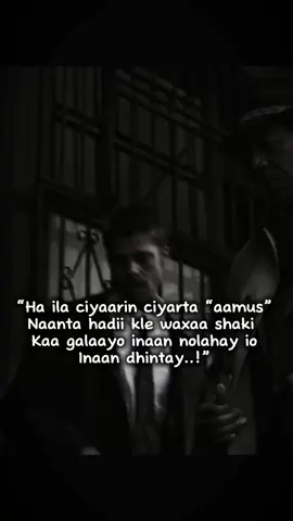 Ha ila ciyaarin waa iga digniin.!” #fyp #xikmad #Ali #viral #viraltiktok #video #videoviral #viralvideos #VoiceEffects #vairal #foryou #foryoupage #fyppppppppppppppppppppppp #fypage #fypシ゚ @ㄈ Λ Ł ɪ📚💡 @T ᵢ G ₑ ᵣ 