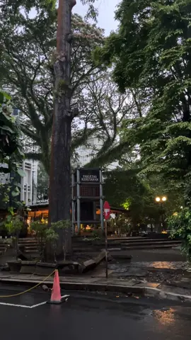 UGM after rain 🌧️ #universitasgadjahmada #ugm#ptn