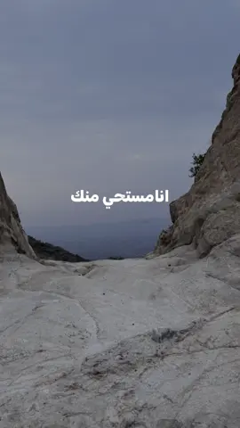 “أنا مستحي منك.. وكل الحب بعيوني 💕🎶 #fyp #explore #ترند #حب #عبدالمجيد_عبدالله