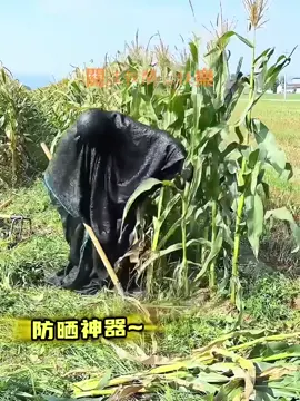 #高手在民间 #滿級人類 #tiktokshop #viral 
