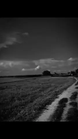 পৃথিবীর সবচেয়ে বড় দুইটা মিথ্যাকথা হলো, আমি তোমাকে অনেক ভালোবাসি আর আমি তোমাকে কখনো ছেড়ে যাবো না...!!#foryou #tiktok 