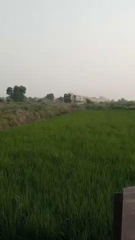 37 up fareed express fast actions 