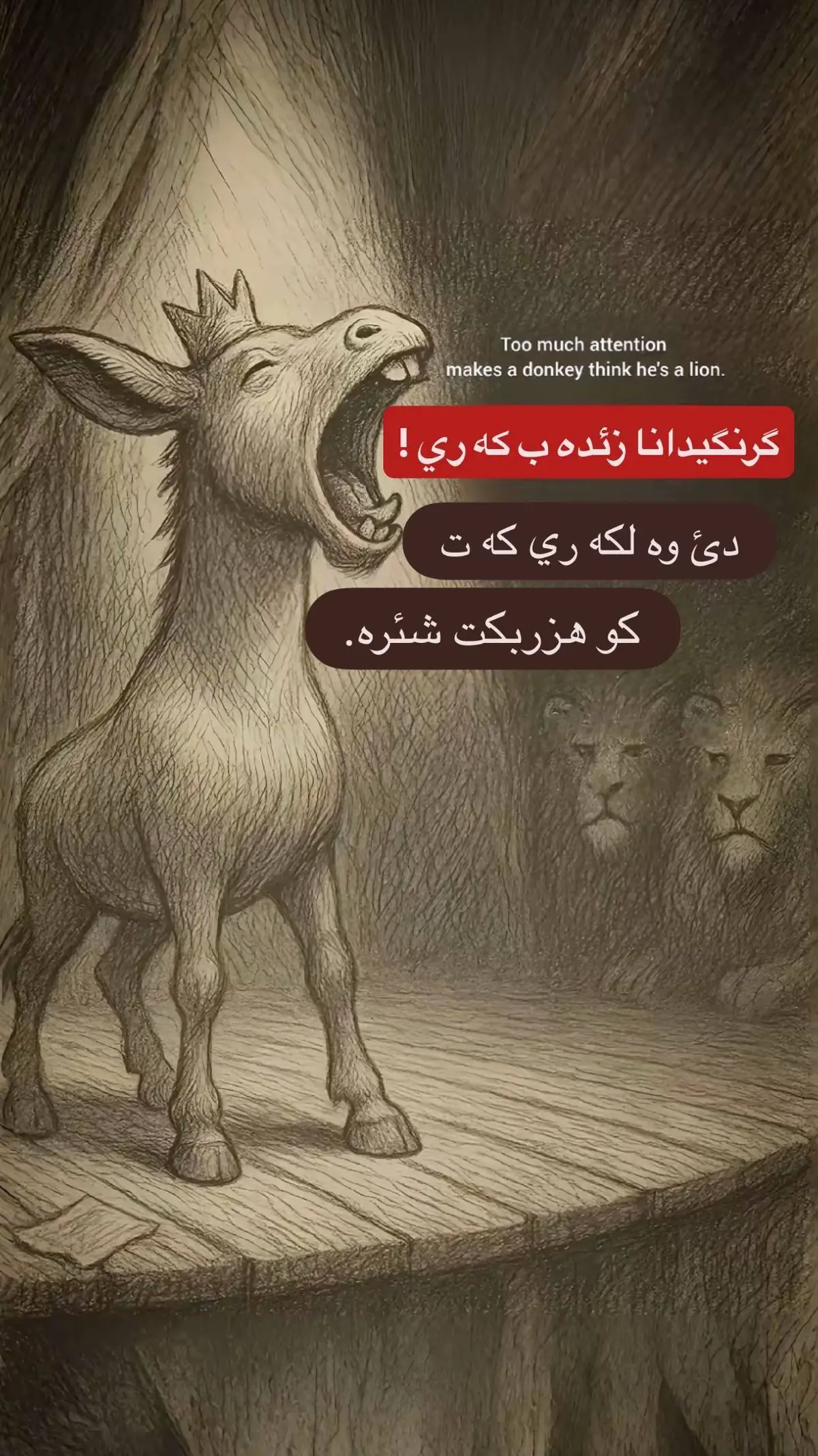 #duhok #zaxo #tanahe 