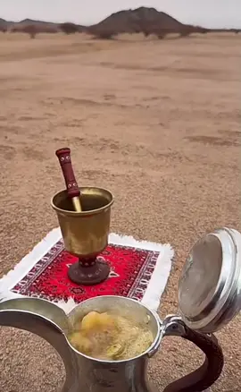 #لا تمدح العود لين يحط فوق الجمر ولا تمدح الناس حتى تظهر فعولها #creatorsearchinsights  #مشاهير_تيك_توك #الشعب_الصيني_ماله_حل😂😂 