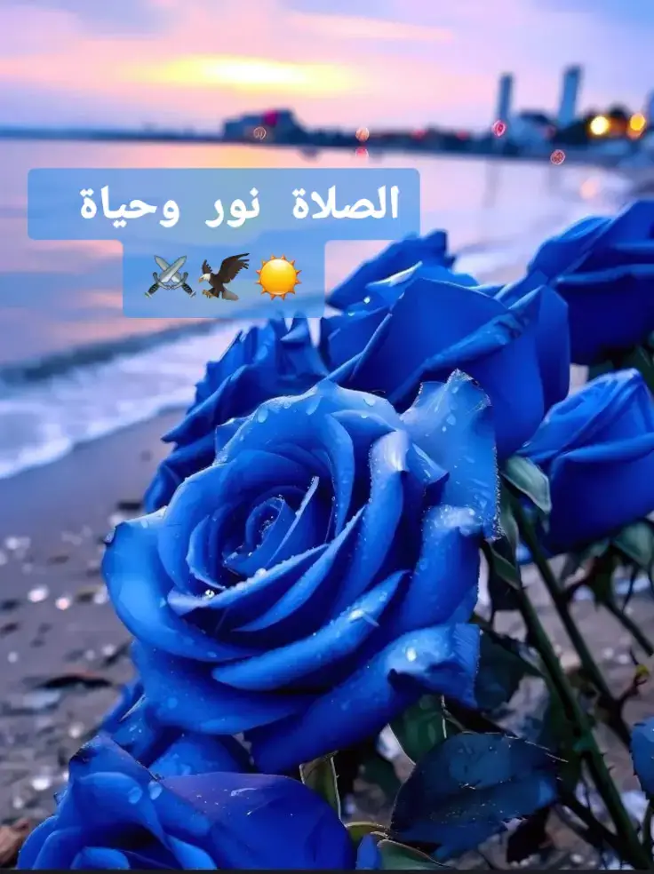 #القران_الكريم_راحه_نفسية😍🕋 #فلسطين_لبنان_سوريا_اليمن_مورتانيا #حكم_وأمثال_وأقوال #القرآن_الكريم🌺🤲 #حكم_وأمثال_وأقوال 