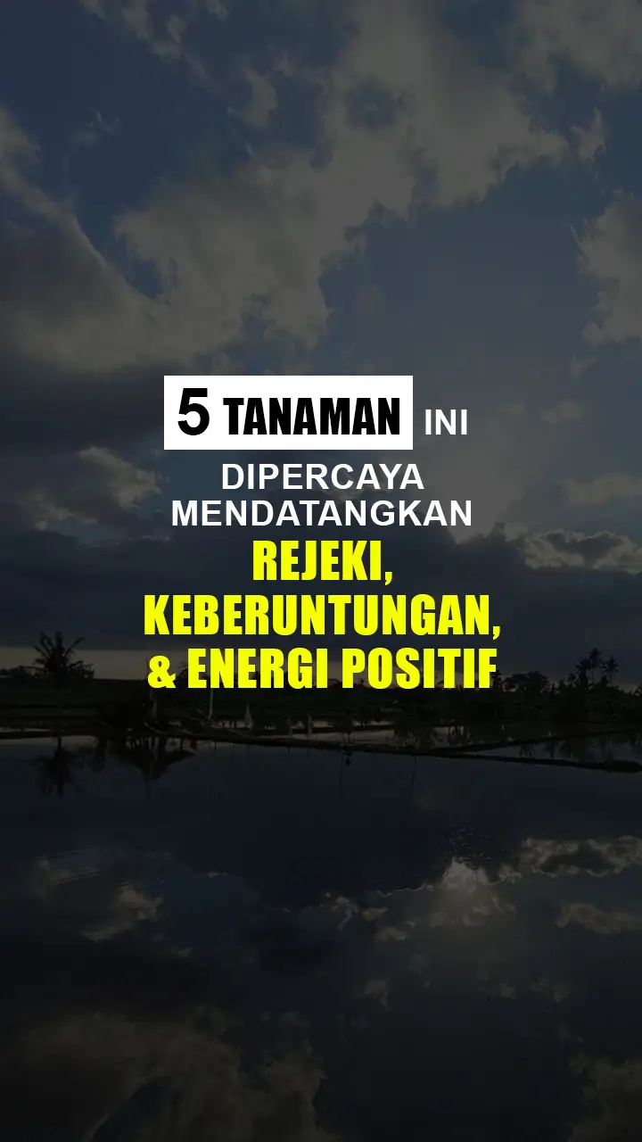 5 Tanaman ini dipercaya dan perlu kamu punya di rumah untuk mendatangkan Keberuntungan. Apa saja ? #tanamanbertuah #tanamanpembawarejeki #tanamanhoki #energipositif 
