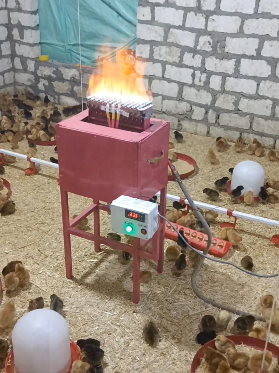 دفايه غاز اشعال ذاتي تحكم اوتوماتيك باللوحه  دفايه دي دي كانت بالنسبه لي حلم كبير قوي الحمد لله وكان فضل الله عليك عظيما  #creatorsearchinsights  #الذهب_الابيض #دفايه  #عنابر_دواجن #دواجن 