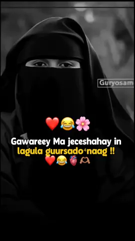 1 mise 4 Hala kalaboxo 😂💍🫶🏽❤️#kenyantiktok #somaliland #somalitikto @ᘔᗩᗩᕼIᖇ❤️🤴🏻🤤 k #🥺❤️ #MOHAN 