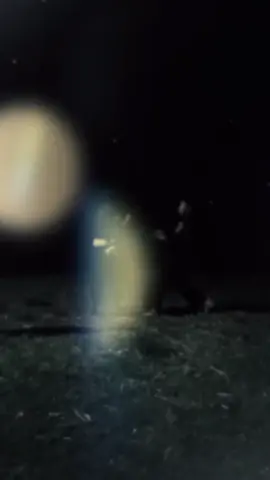 mung balet💃#stkkapas#pshwpusatmadiun #pshwpusatmadiun #masukberandafyp #bjn24jam 