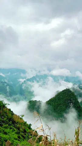 Hà Giang 2025 @Hà Giang Loop  @Hà Giang Loop  @Hà Giang Loop #mapileng #hagiang #travel #hagiangloop #traveltiktok 