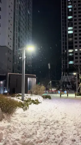 이젠 더이상 억지로 웃고싶지않아 #fyp #우울전시 #작년