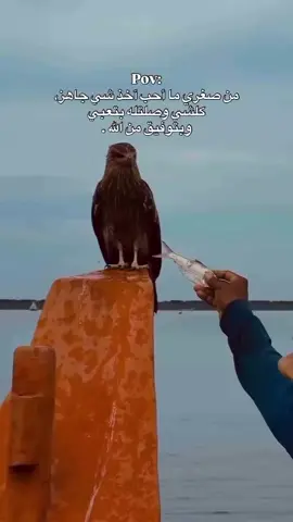 #viral #usa #دويتو #foryoupage #الروسي 