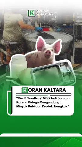 Isu dugaan nampan atau food tray dalam Program Makan Bergizi Gratis (MBG) yang disebut impor dari China dan mengandung lemak babi memicu perhatian publik. Laporan investigasi Indonesia Business Post (IBP) mengungkap adanya dugaan praktik pemalsuan label “Made in Indonesia” serta logo SNI pada produk yang diproduksi di pabrik Chaoshan, China. Bahkan, IBP menemukan indikasi penggunaan lemak babi olahan sebagai pelumas dalam produksi food tray tipe 201 dan 304. Kepala Kantor Komunikasi Kepresidenan, Hasan Nasbi, menegaskan hingga kini tidak ada bukti kandungan minyak babi dalam food tray MBG. Ia menekankan jika ada kekhawatiran, produk bisa diuji di BPOM. Senada, Kepala Badan Gizi Nasional, Dadan Hindayana, menyebut pihaknya masih melakukan pengecekan ulang, sementara Menteri Agama Nasaruddin Umar menegaskan apabila benar terbukti mengandung babi, pemerintah wajib melakukan perbaikan. Sebelumnya, Badan Standardisasi Nasional (BSN) telah menetapkan aturan penggunaan food tray berbahan baja tahan karat untuk mendukung program MBG melalui SNI 9369:2025. Standar ini diharapkan memastikan keamanan, ketahanan, dan kualitas produk, sekaligus mendorong industri lokal menghasilkan peralatan makan yang lebih berkualitas. Sumber: Detikcom