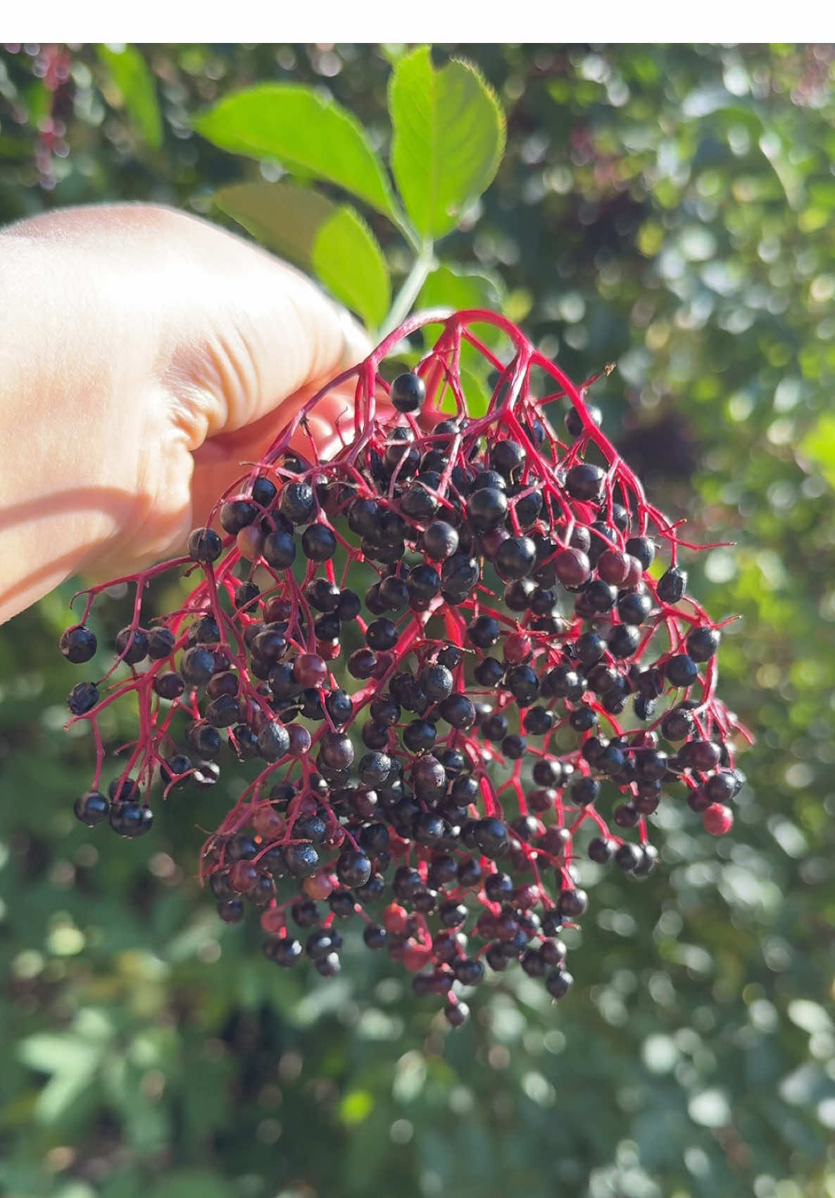 Replying to @user18261619372616392616643918 