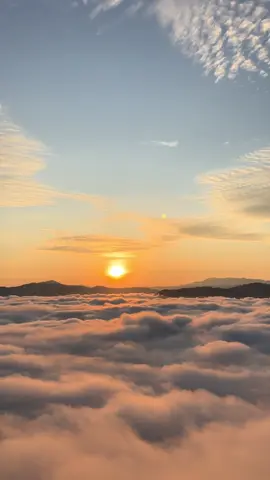 ☁️🤍⛰️🌅#ทะเลหมอก #ทะเลหมอกอัยเยอร์เวง #เบตงใต้สุดแห่งสยาม #พระอาทิตย์ขึ้นยามเช้า 