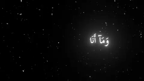 محمد حيدان #قران #قران_كريم #الهم_صلي_على_محمد_وأل_محمد 