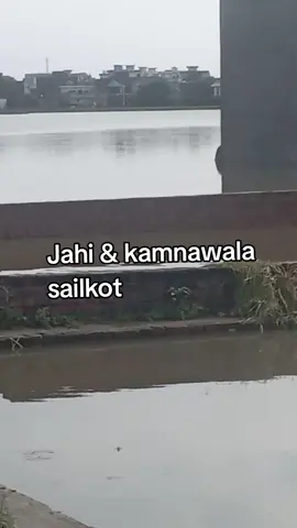 #topliker #creatorsearchinsights @Ahmad,jutt @🫀 Queen of hearts 🫀 A🫀 @⚡💸•♕︎★ 𝙂𝙐𝙅𝙅𝘼𝙍 ★♕︎•⚡💸 @Abdullah Gondal @Arslan Jutt 47 ،باغى ☠️ @Asad jutt 47 #creatorsearchinsights #topliker #trendingvideoviral 