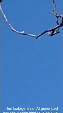 Lockhead CL 957 GEN 2 Tic Tac spotted over my head again!#viralvideo #uap #fyp #lockheadcl957gen2 #drones 