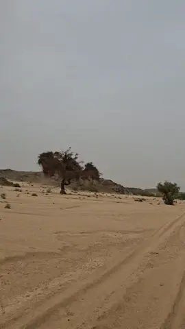 اليوم نفقدو وغدوة نعوضو والدنيا ماتوقف عند حد 🤍