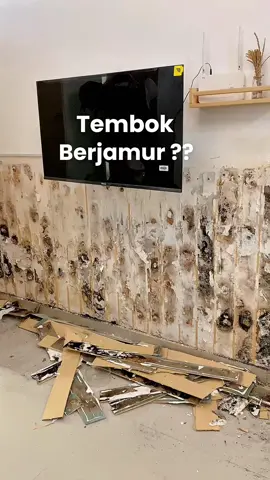 nyesel 😭😭 #tembokberjamur #temboklembab #blackmold #solusitemboklembab #wallbatten 