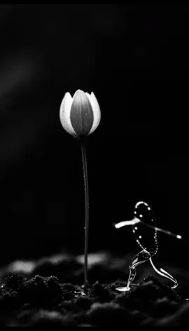 عليك أن تتعود على الفراغ #اقتباسات  #اقتباسات_عبارات_خواطر  #حكم_وأمثال_وأقوال 