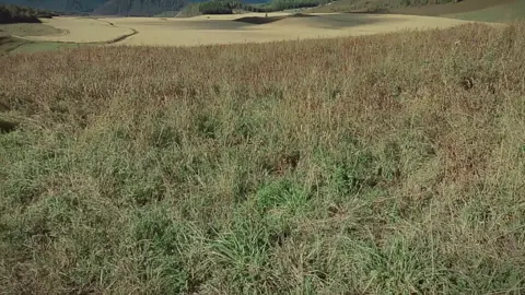 #nopeyourtoolateialreadydied #speedsong #vibe 