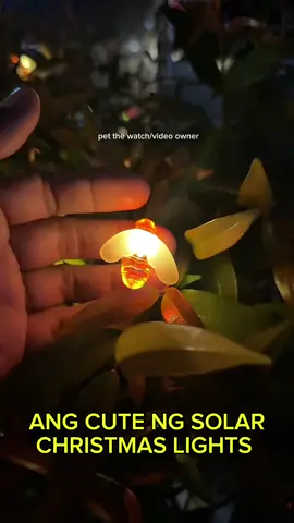 ang cute ng solar christmas light na to mga idol #solarchristmaslight #solarlight #solarchristmaslightwithdesign #trendingchristmaslight #trending 
