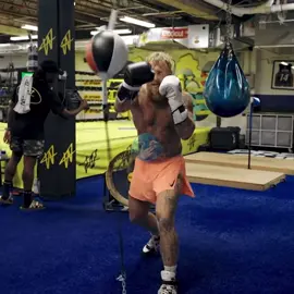 GERVONTA DAVIS>>>JAKE PAUL #gervontadavis #jakepaul #boxing#fyp 