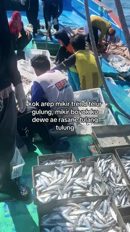kudu protol #nelayan  #purseinjuwana  #gabunganpangestugroup  #storykatakata  #foryoupage 