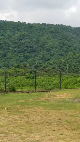 #trainingsoundforyou #tiktokindia # #vairalvideo #trainingsound #myfollowme #